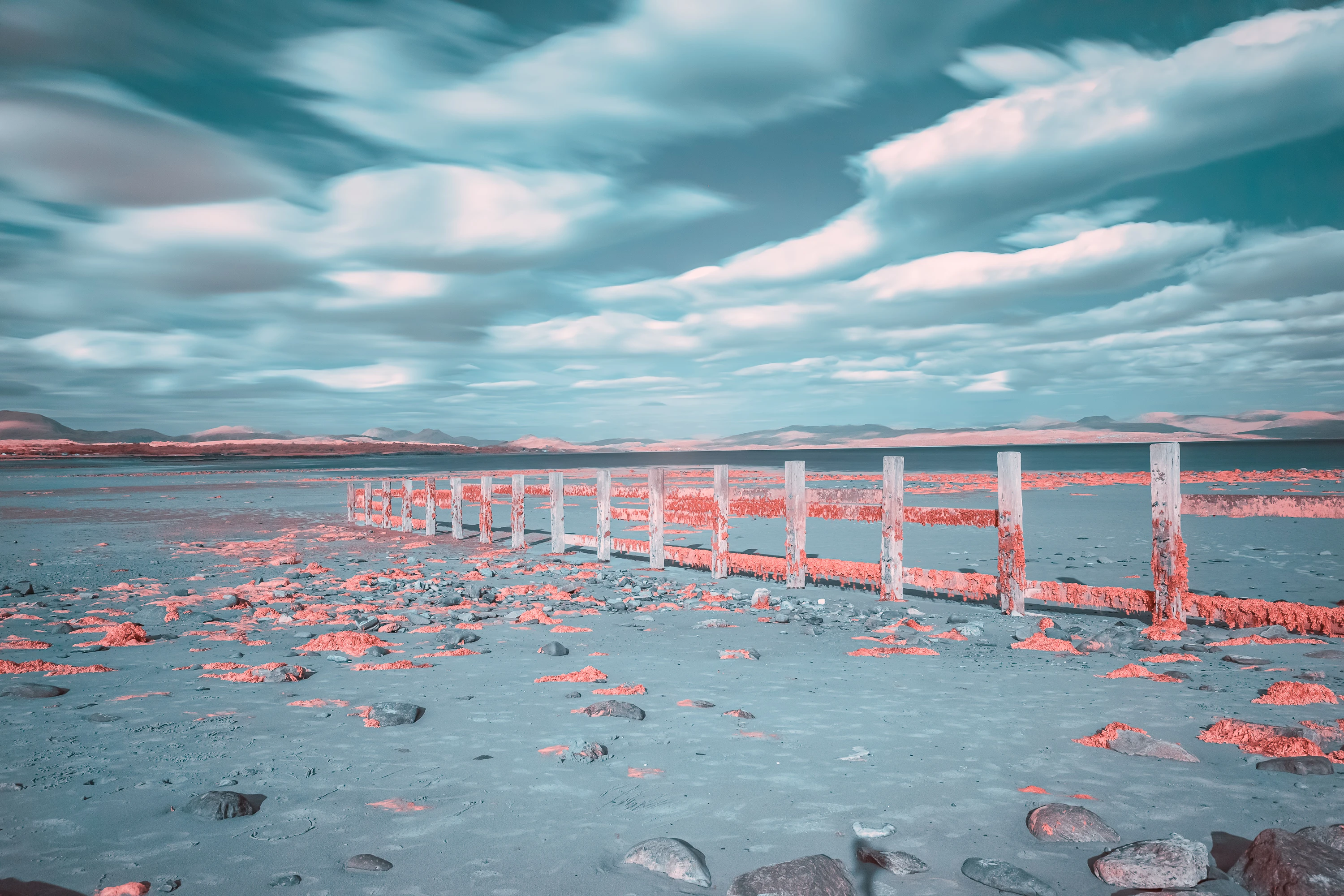 A soft false-colour infrared landscape with pastel pink foliage and deep blue tones.
