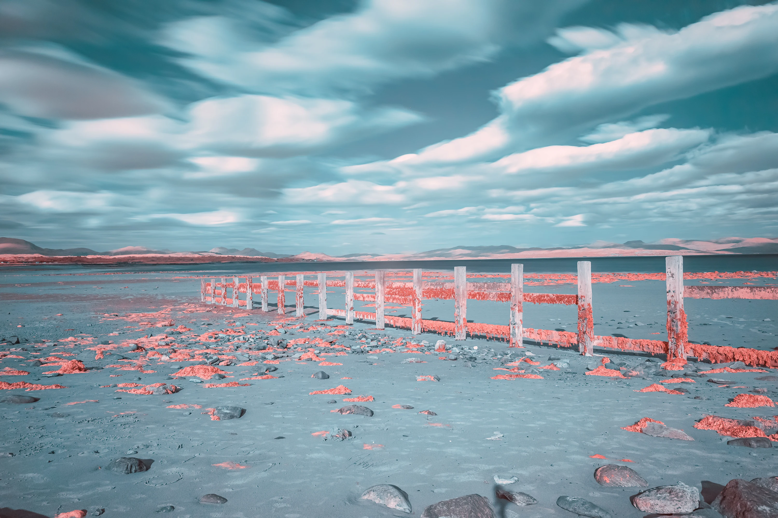 A soft false-colour infrared landscape with pastel pink foliage and deep blue tones.